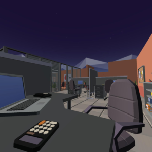 VR Simulation